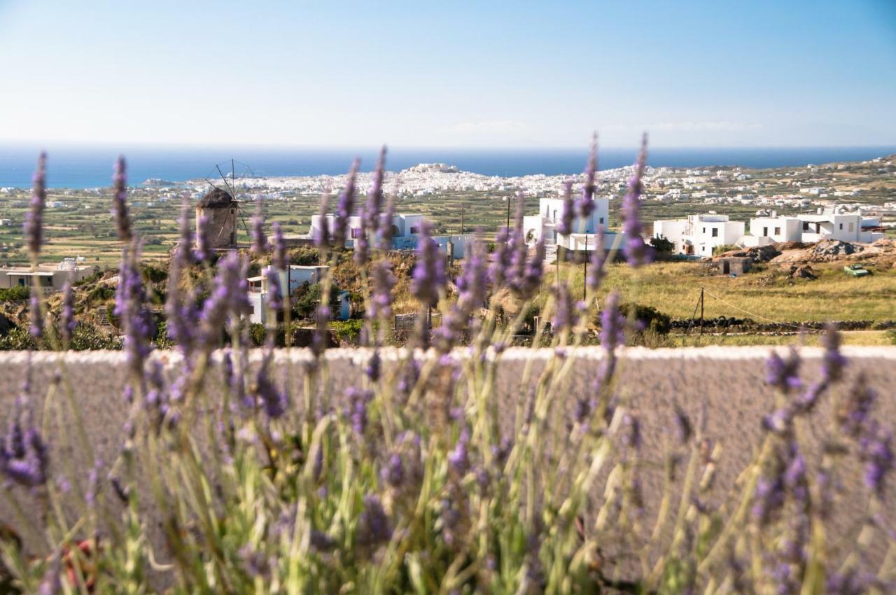 Апартаменты Naxos View Glinado Naxos Экстерьер фото